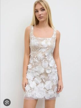 Cider Floral Appliqué Mini Dress Size M Sheer Mesh Nude White Party Dress NWT